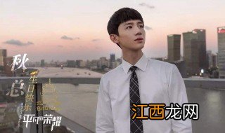 平凡的荣耀曲总是谁 平凡的荣耀简介