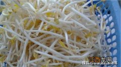 生绿豆芽的新方法 生绿豆芽方法介绍