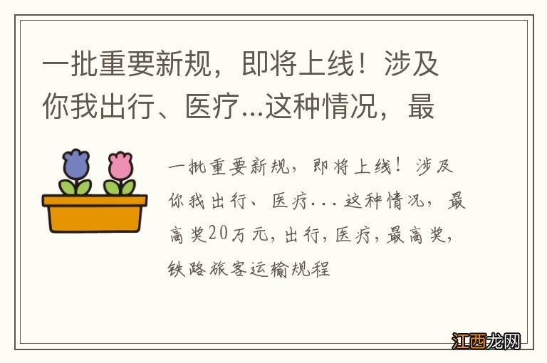 一批重要新规，即将上线！涉及你我出行、医疗...这种情况，最高奖20万元