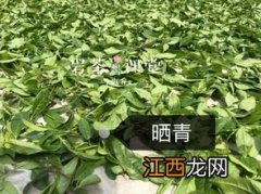 茶叶加工怎么去除涩味