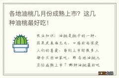 各地油桃几月份成熟上市？这几种油桃最好吃！