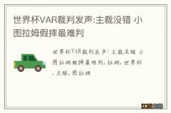 世界杯VAR裁判发声:主裁没错 小图拉姆假摔最难判