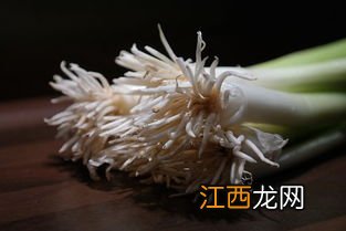 葱籽催芽方法 葱籽催芽方法是什么