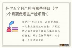 孕5个月要做哪些产检项目? 怀孕五个月产检有哪些项目