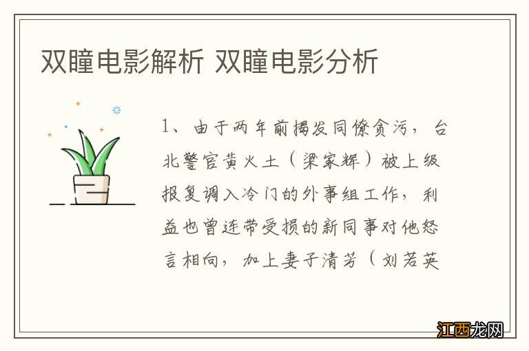 双瞳电影解析 双瞳电影分析