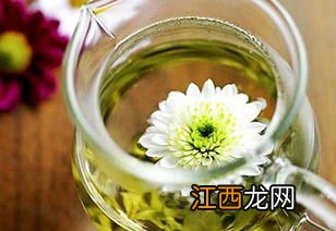 菊花茶怎么变绿色