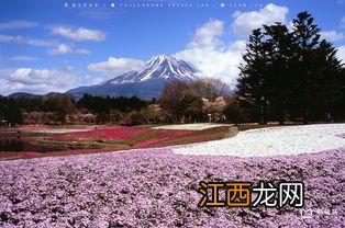 富士山在哪里 富士山在什么地方