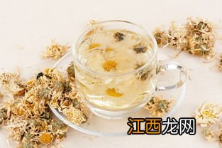 黄山贡菊怎么喝