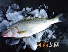 鲈鱼和海鲈鱼的区别 鲈鱼和海鲈鱼有什么区别