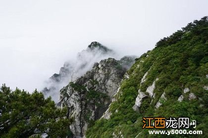 深山古寺的意思是什么 深山藏古寺是什么意思