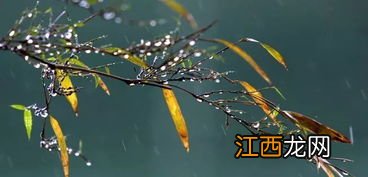 一场秋雨一场寒现象介绍 一场秋雨一场寒简介