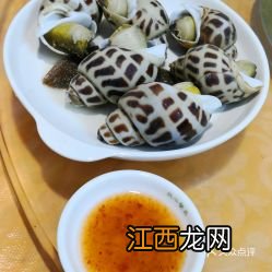 煮粥用的菜脯是什么菜脯