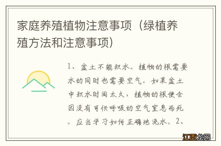 绿植养殖方法和注意事项 家庭养殖植物注意事项