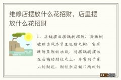 维修店摆放什么花招财，店里摆放什么花招财