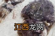 草莓桑葚可以一起吃吗 草莓和桑葚一起吃有什么好处