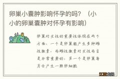 小小的卵巢囊肿对怀孕有影响 卵巢小囊肿影响怀孕的吗？