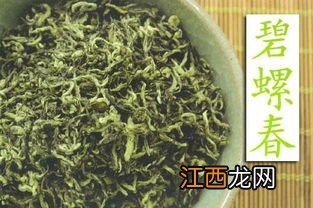 碧螺春去年的茶怎么样