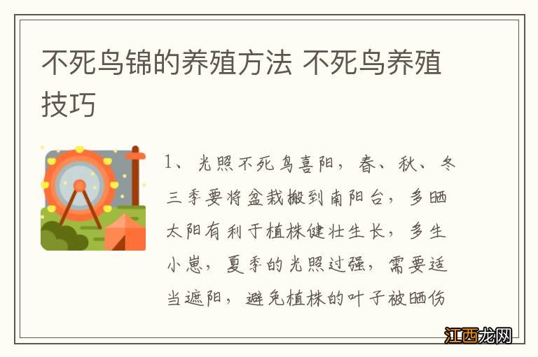 不死鸟锦的养殖方法 不死鸟养殖技巧