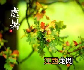 处暑三候时间段 处暑反映了什么