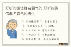 好听的微信群名霸气的 好听的微信群名霸气的男生