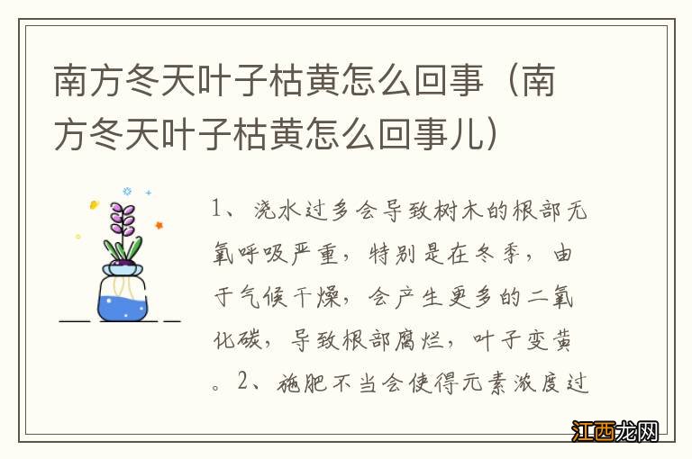 南方冬天叶子枯黄怎么回事儿 南方冬天叶子枯黄怎么回事