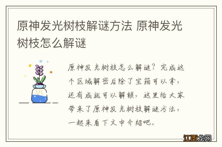 原神发光树枝解谜方法 原神发光树枝怎么解谜