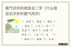 什么微信名字好听霸气两字 霸气好听的微信名二字