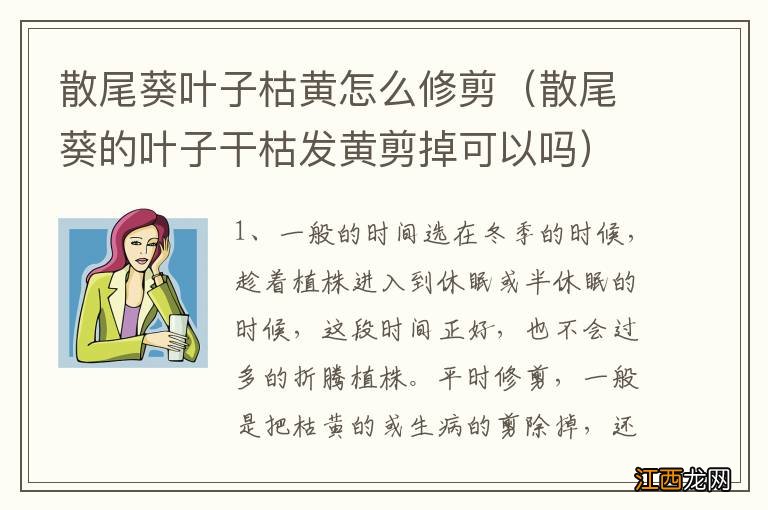 散尾葵的叶子干枯发黄剪掉可以吗 散尾葵叶子枯黄怎么修剪