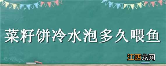 菜籽饼冷水泡多久喂鱼