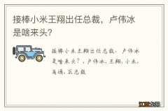 接棒小米王翔出任总裁，卢伟冰是啥来头？