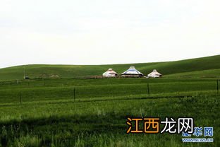 乌拉盖草原在哪里 乌拉盖草原介绍