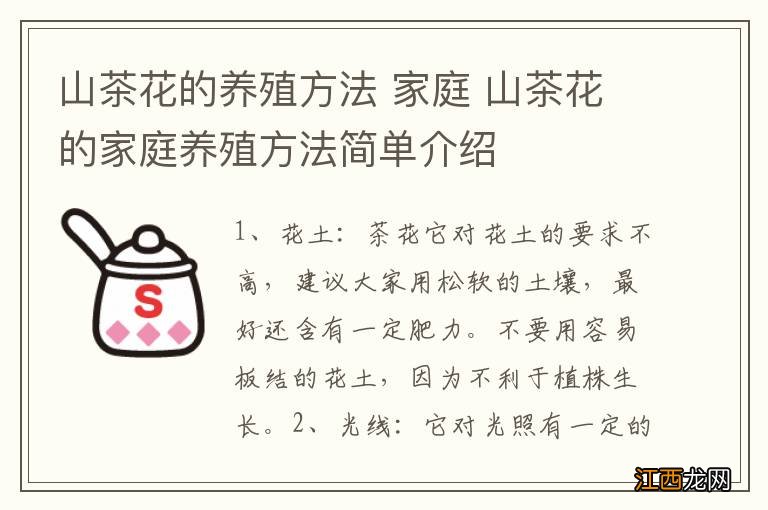 山茶花的养殖方法 家庭 山茶花的家庭养殖方法简单介绍