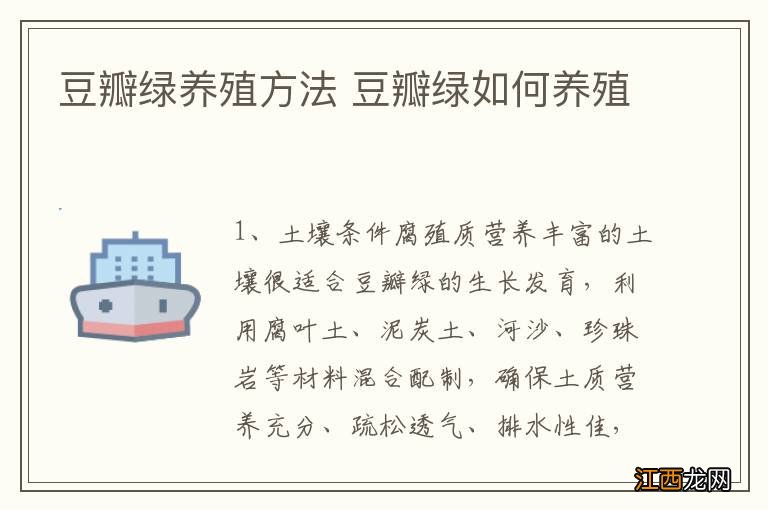 豆瓣绿养殖方法 豆瓣绿如何养殖