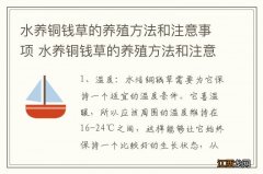 水养铜钱草的养殖方法和注意事项 水养铜钱草的养殖方法和注意事项简单介绍