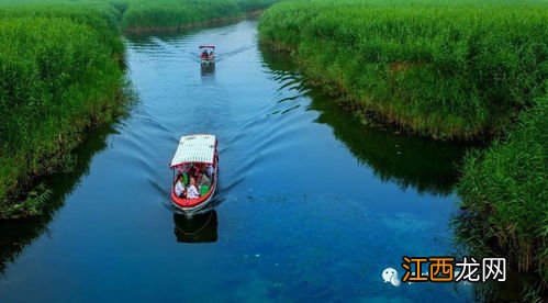 湿地又被称为什么？ 湿地还有其他的称呼吗