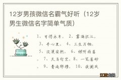 12岁男生微信名字简单气质 12岁男孩微信名霸气好听