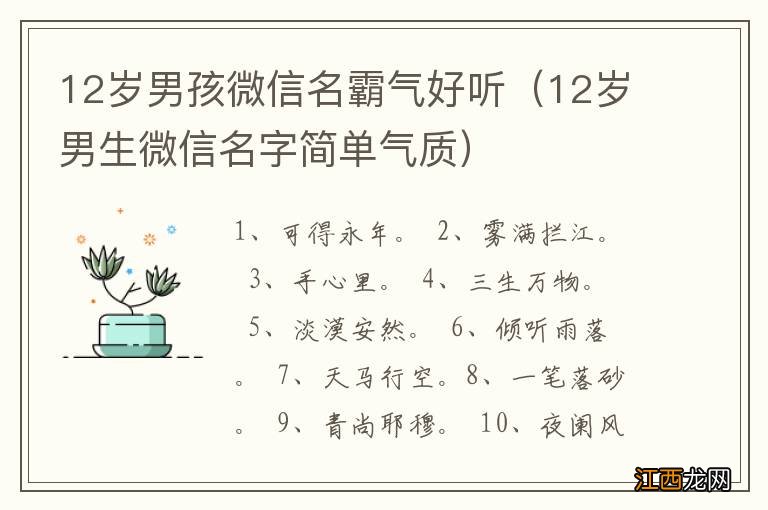 12岁男生微信名字简单气质 12岁男孩微信名霸气好听