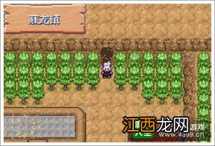 口袋妖怪漆黑的魅影第三个道馆在哪里 怎么打第三道馆