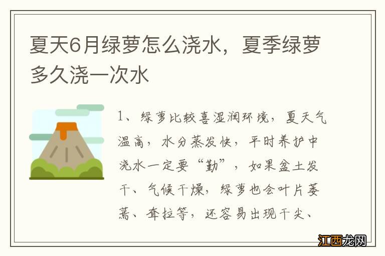 夏天6月绿萝怎么浇水,夏季绿萝多久浇一次水