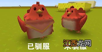 迷你世界鸡怎么驯服 下面为大家解答