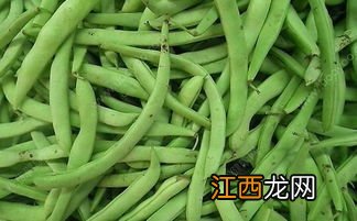 四季豆和豆角的区别，豆角是什么季节的蔬菜