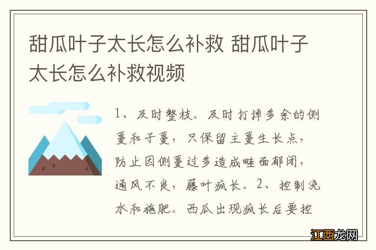 甜瓜叶子太长怎么补救 甜瓜叶子太长怎么补救视频