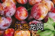 三华李几月份成熟 三华李怎么吃