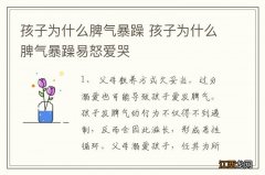 孩子为什么脾气暴躁 孩子为什么脾气暴躁易怒爱哭