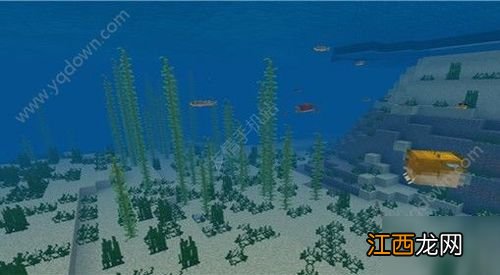 我的世界河豚怎么得 我的世界河豚获得方法介绍