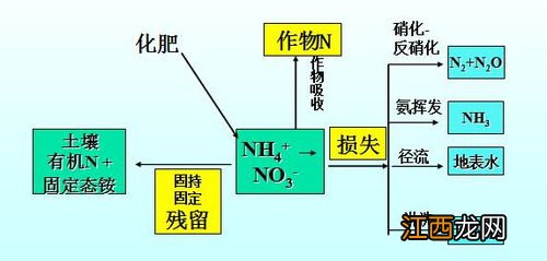 氮肥利用率不高的原因，氮肥对植物的作用