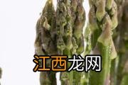 紫甘蓝怎么挑选 吃紫甘蓝的注意事项