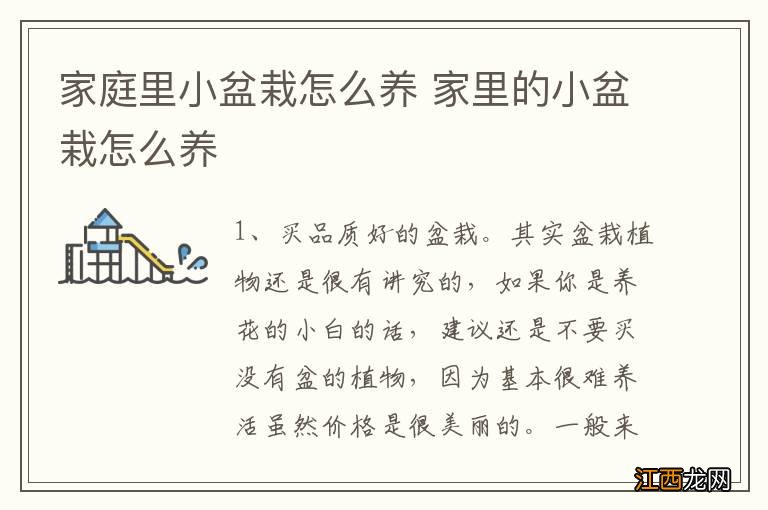 家庭里小盆栽怎么养 家里的小盆栽怎么养