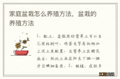 家庭盆栽怎么养殖方法，盆栽的养殖方法