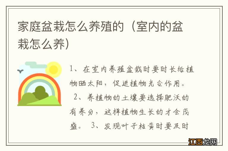 室内的盆栽怎么养 家庭盆栽怎么养殖的